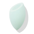 Silicone Blending Sponge - Defined Reliable Artistry Brush
