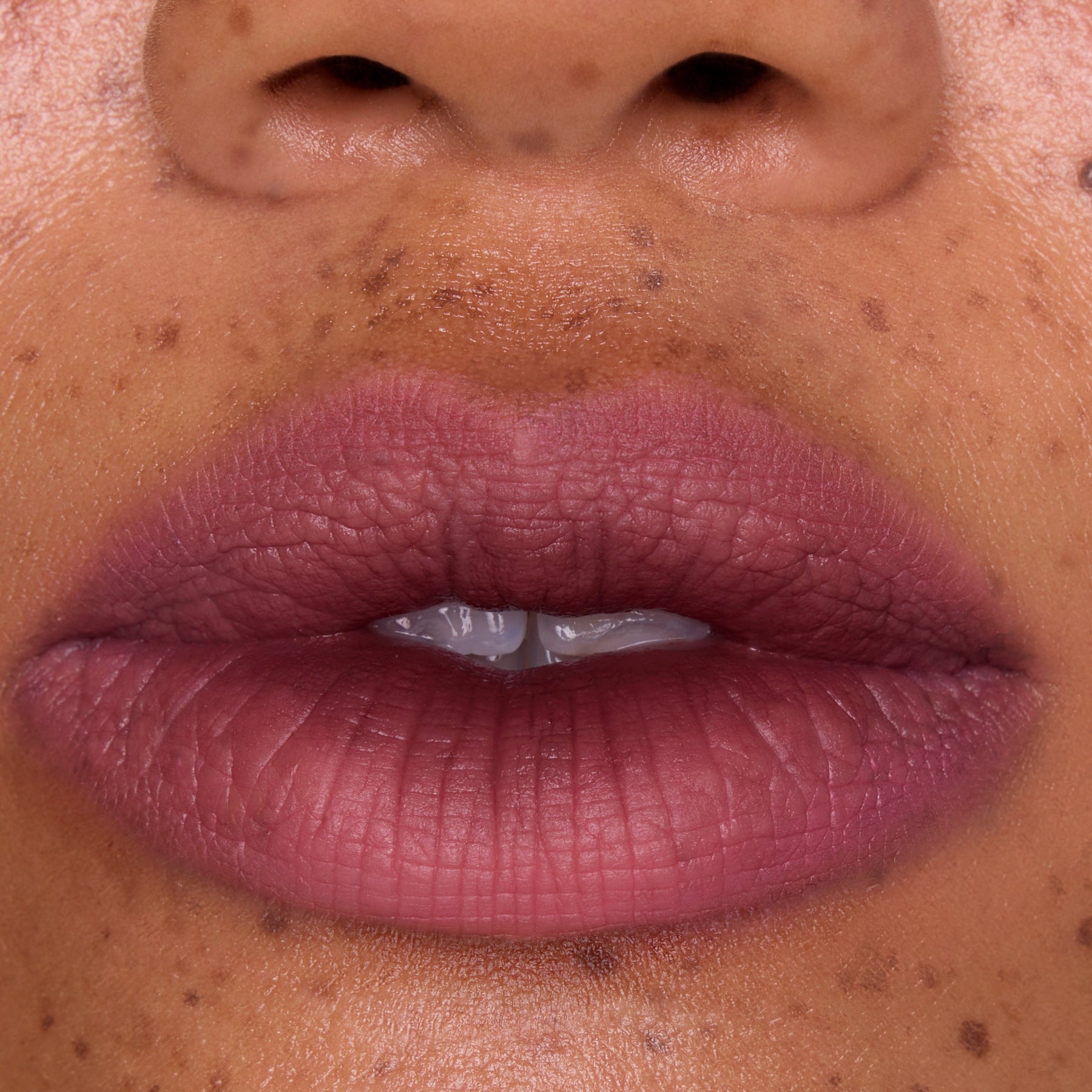Mocha Plum - Seamless Seasonal Beauty Match