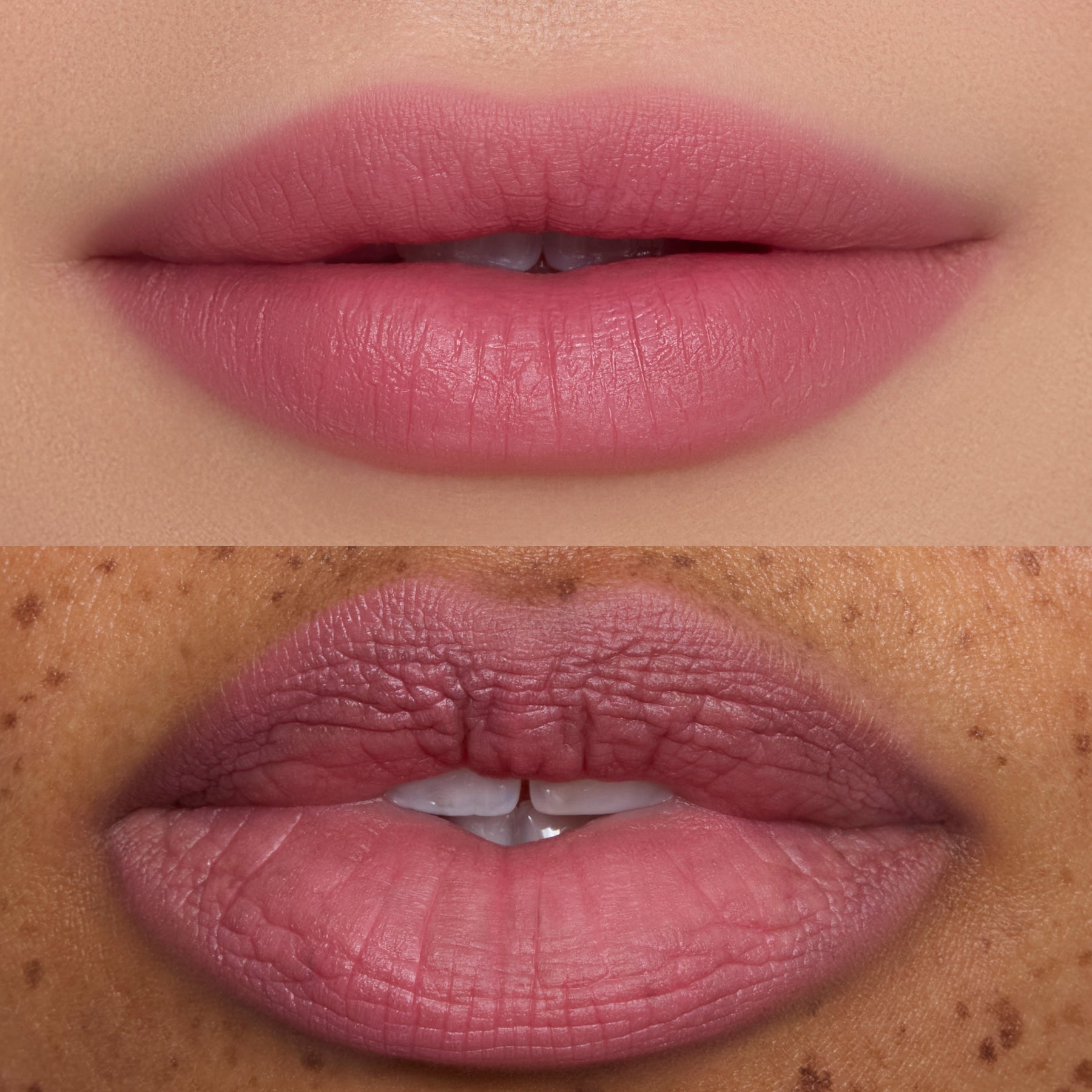 Mocha Plum - Seamless Seasonal Beauty Match