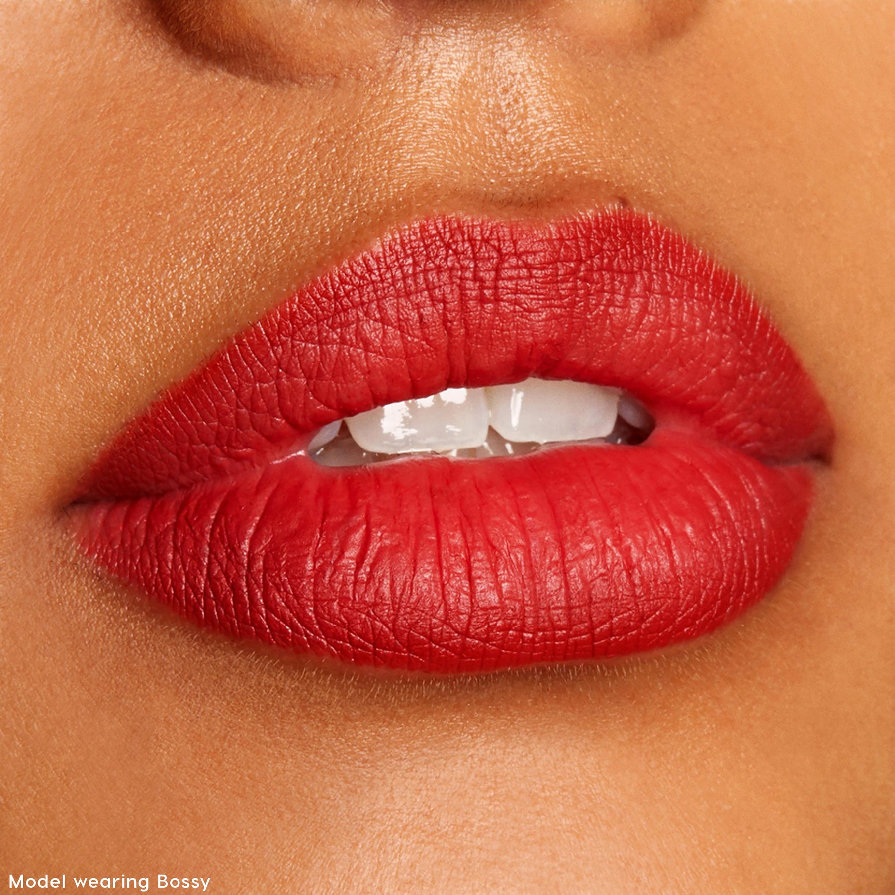 The Lil Box of Lippie Pencils - Curated Tailored Lip Edit