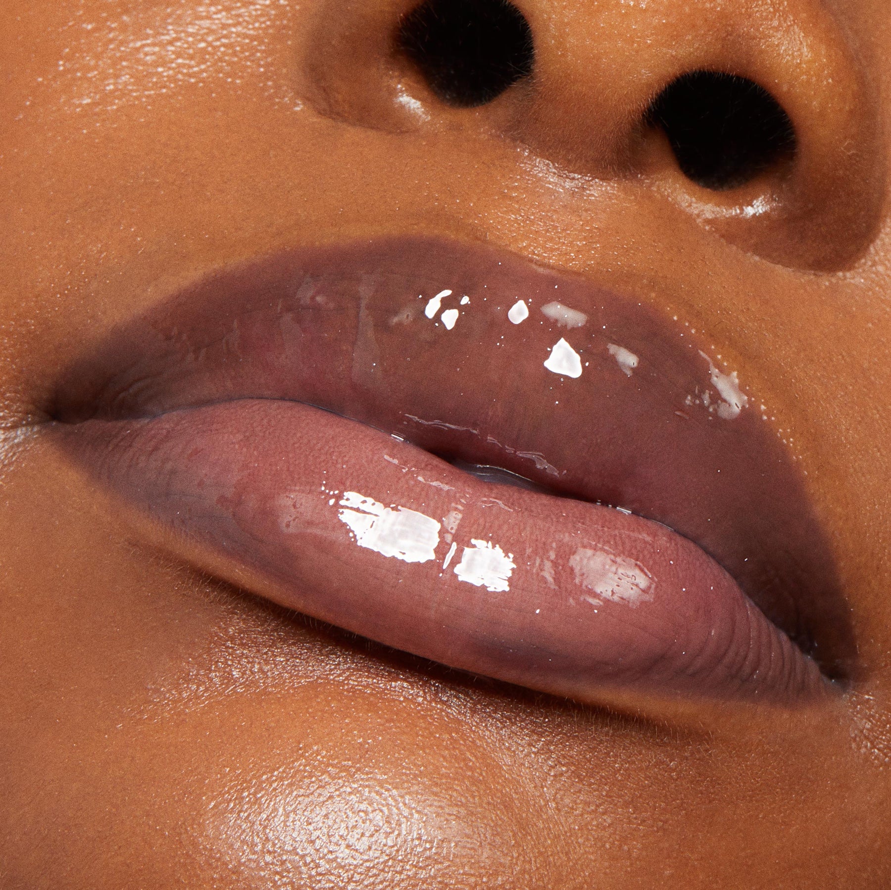 Team Edward - Lightweight Premium Lip Palette
