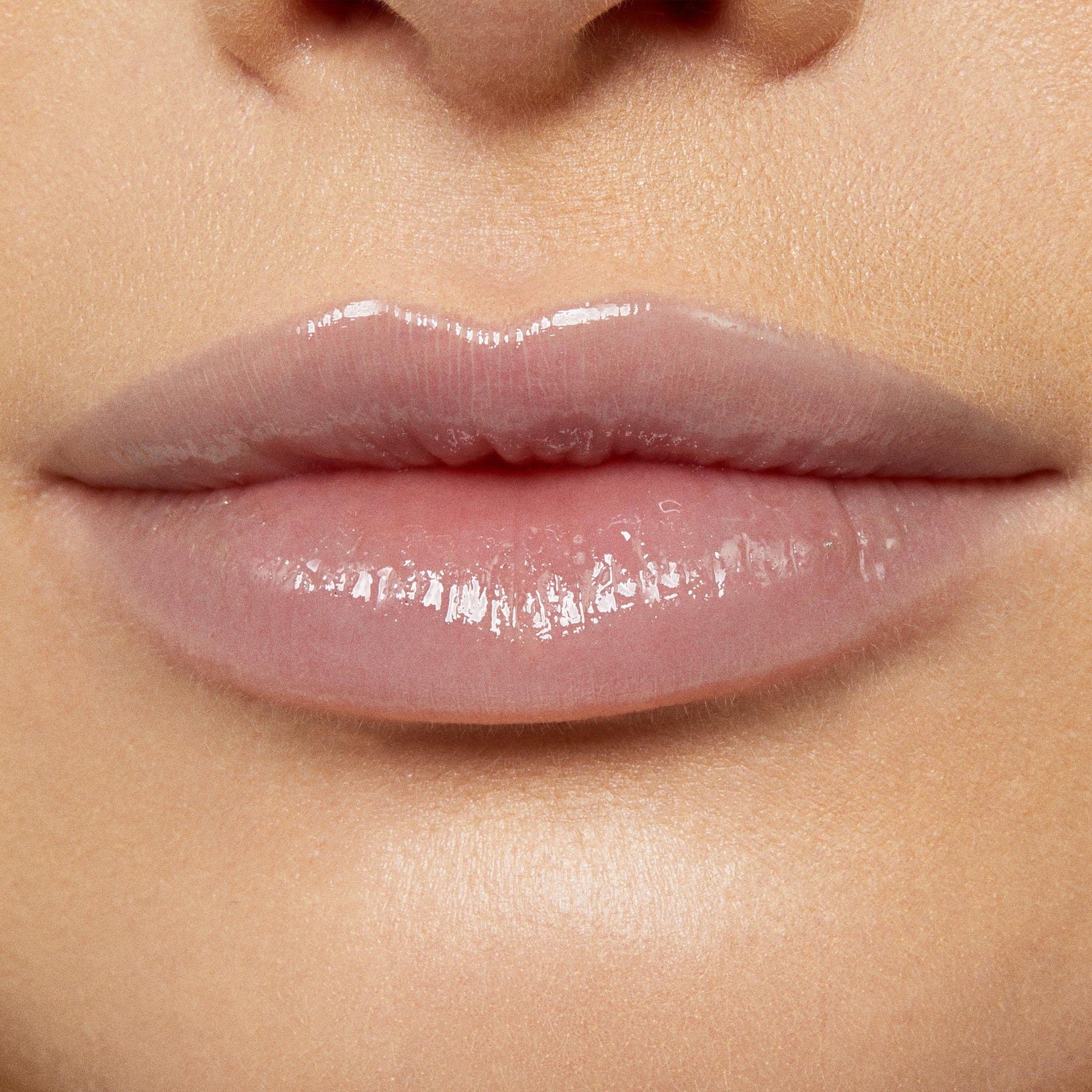 Team Edward - Lightweight Premium Lip Palette