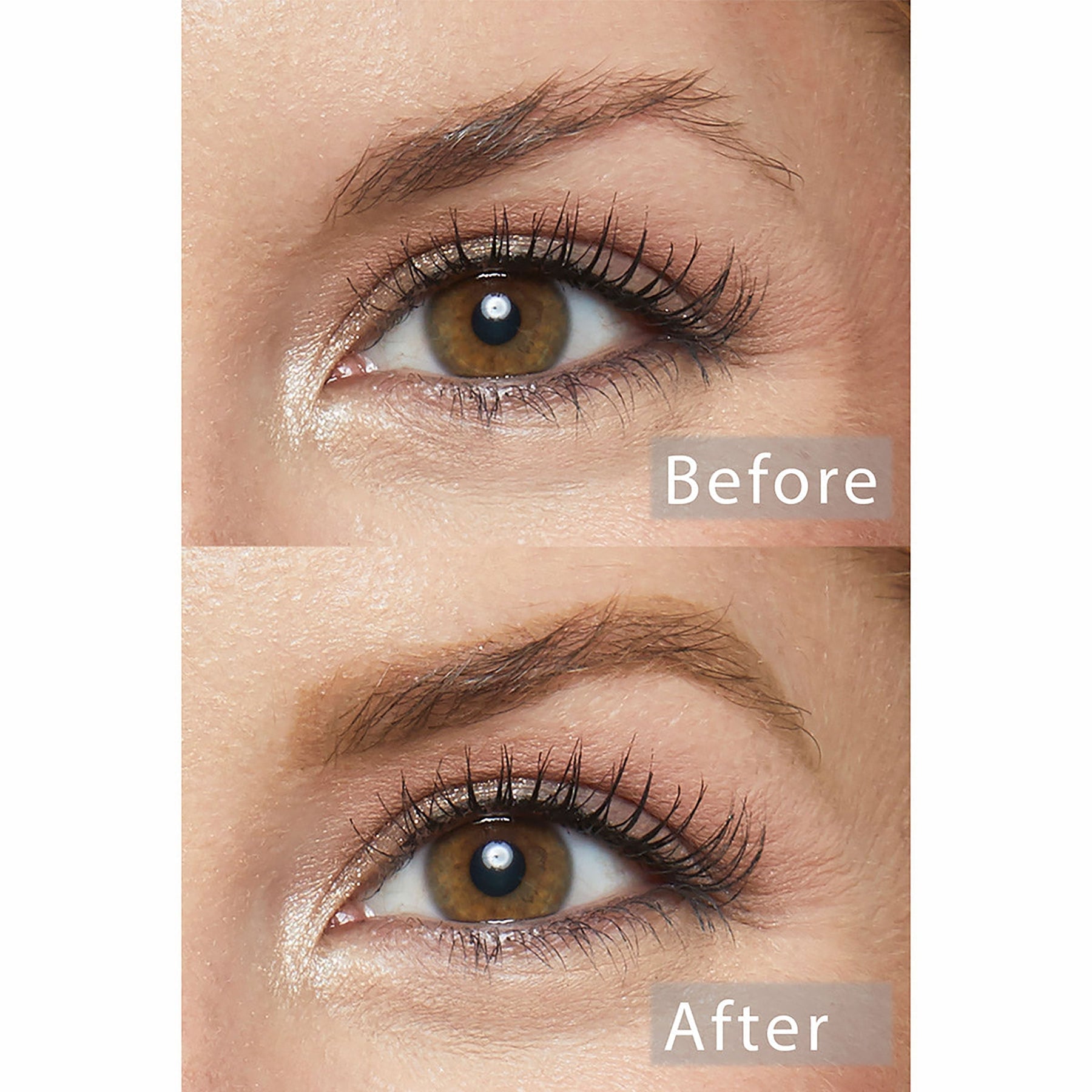 Champagne Blonde Pencil - Shimmering Polished Brow Polish