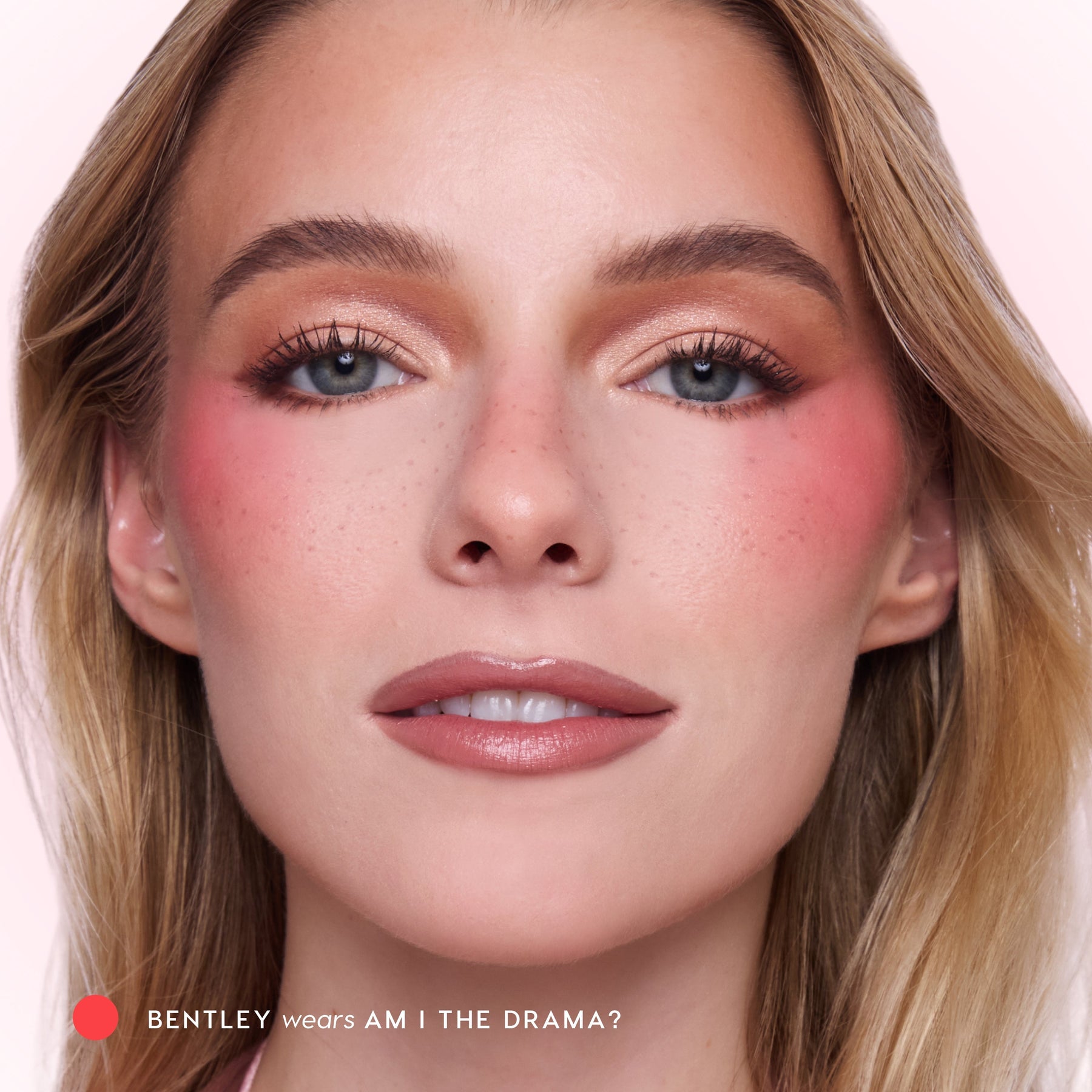 Am I The Drama? - Artful Sophisticated Cheek Definition